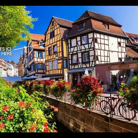 Le Studio 1586 - Centre Historique 科尔马 外观 照片